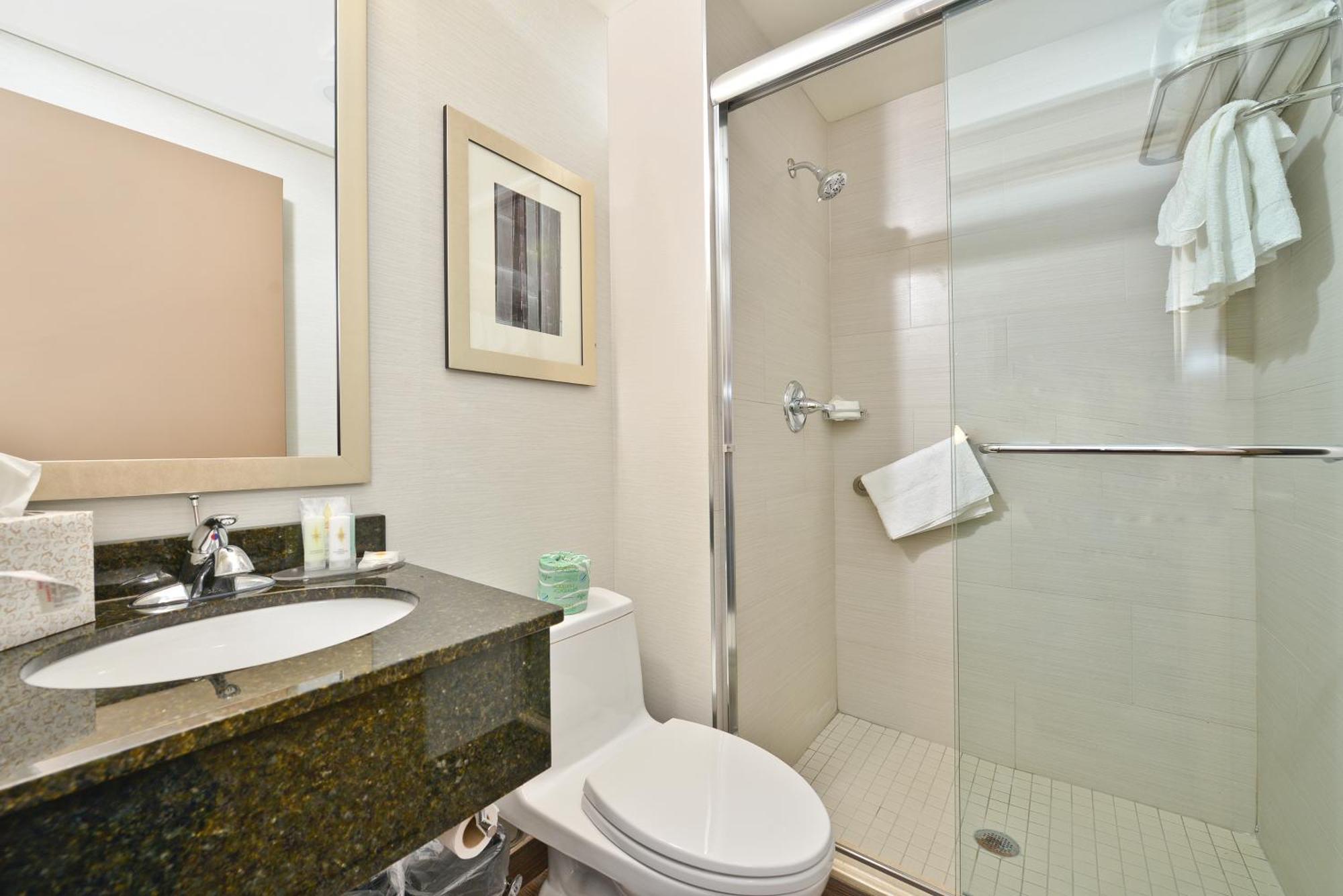 Double Room Two Double Beds City View Non-Smoking