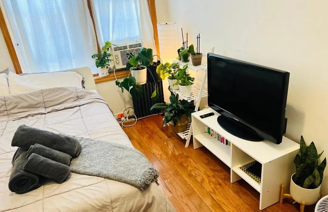 Brooklyn Crown Heights Room-1